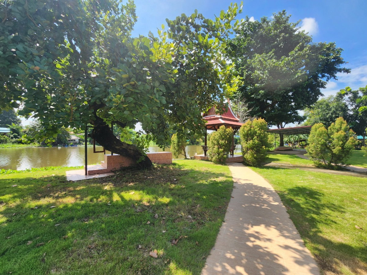 รูป 📢 ขาย ✨ RARE ITEM ✨ คาเฟ่ทวิภพ (Tawipob Cafe), พระนครศรีอยุธยา ทำเลทองติดแม่น้ำ บรรยากาศย้อนยุคสุดคลาสสิก | พร้อมดำเนินกิจการต่อได้ทันที - รูปที่ 15/30