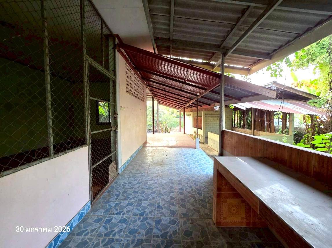 รูป บ้านเดี่ยว 200.4 ตร.วา เมืองกำแพงเพชร กำแพงเพชร 1.9M - รูปที่ 21/36