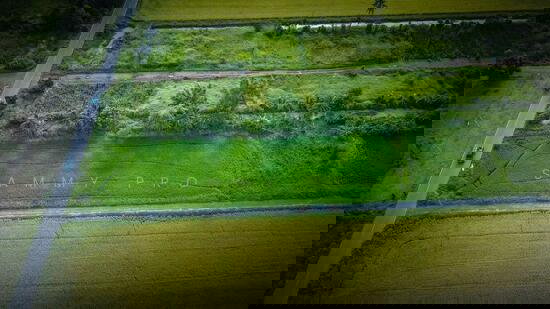 รูป ขายที่ดิน คลอง 22 นครนายก ล็อคละ 100-150 ตรว. - รูปที่ 3/4