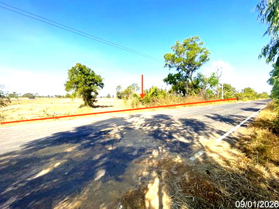 LAND 7444 Sq.w. Na Pho Buri Ram for 4.1M
