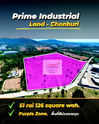 Land for sale : Purple land for sale in Sriracha, prime location in the heart of the EEC industrial zone.