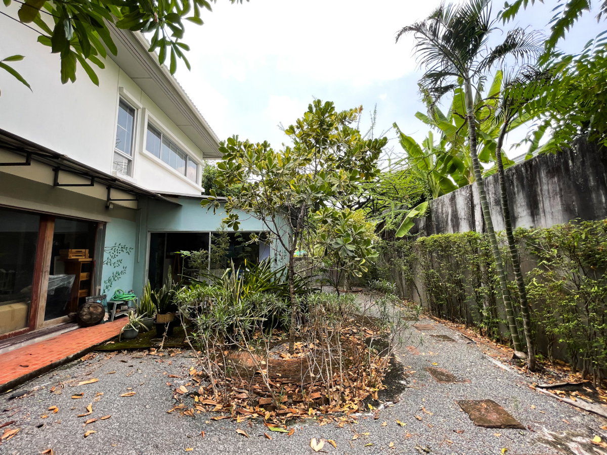 picture Noble Geo Watcharapol Main Road Position - 18/21