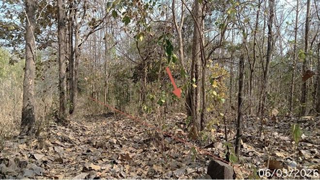 picture LAND 8000 Sq.w. Wang Chin Phrae for 2.1M - 5/22