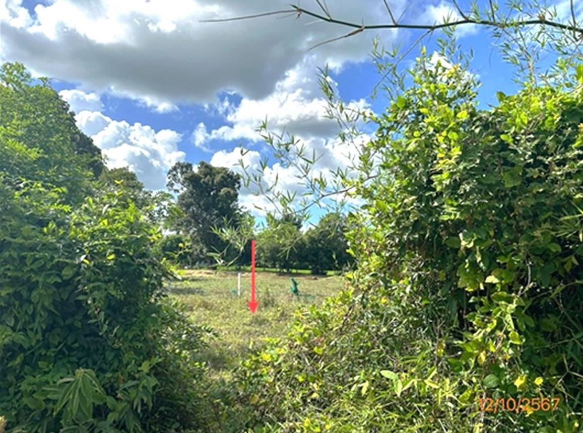 picture LAND 985 Sq.w. Khuang Nai Ubon Ratchathani for 1.2M - 12/18