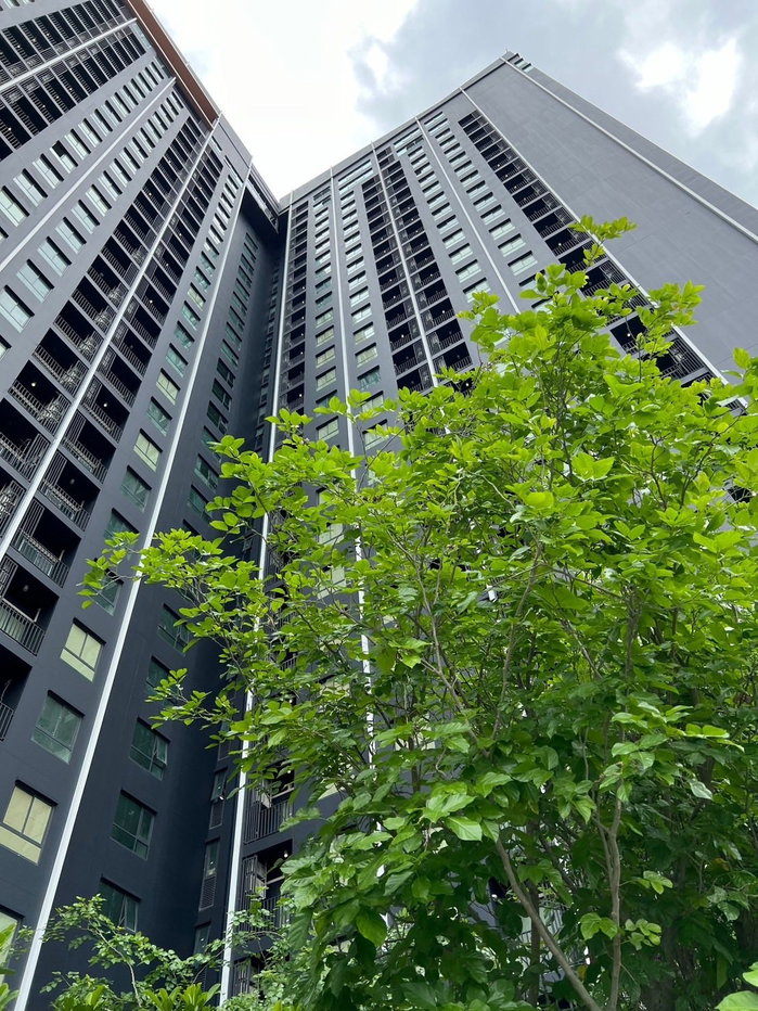 รูป RS5593 ให้เช่าคอนโด Ideo Rama 4 ใกล้ BTS พระโขนง - รูปที่ 7/7