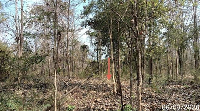 picture LAND 8000 Sq.w. Wang Chin Phrae for 2.1M - 6/22