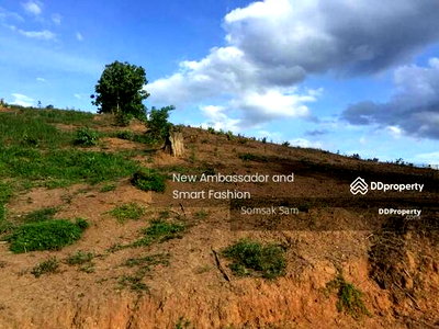 Land for sale : Land for sale, beautiful land, mountain view, Mae Hong Son Province