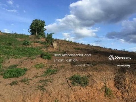 Land for sale, beautiful land, mountain view, Mae Hong Son Province