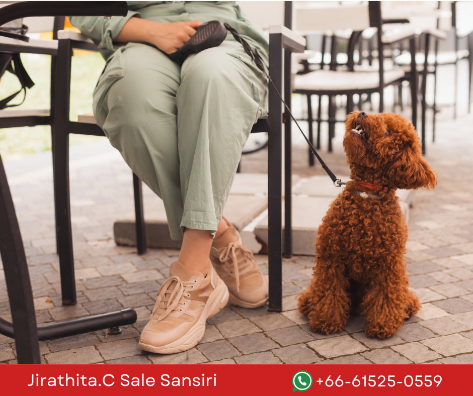 picture The Base Cherng Talay – A Prime Location Project - 11/13