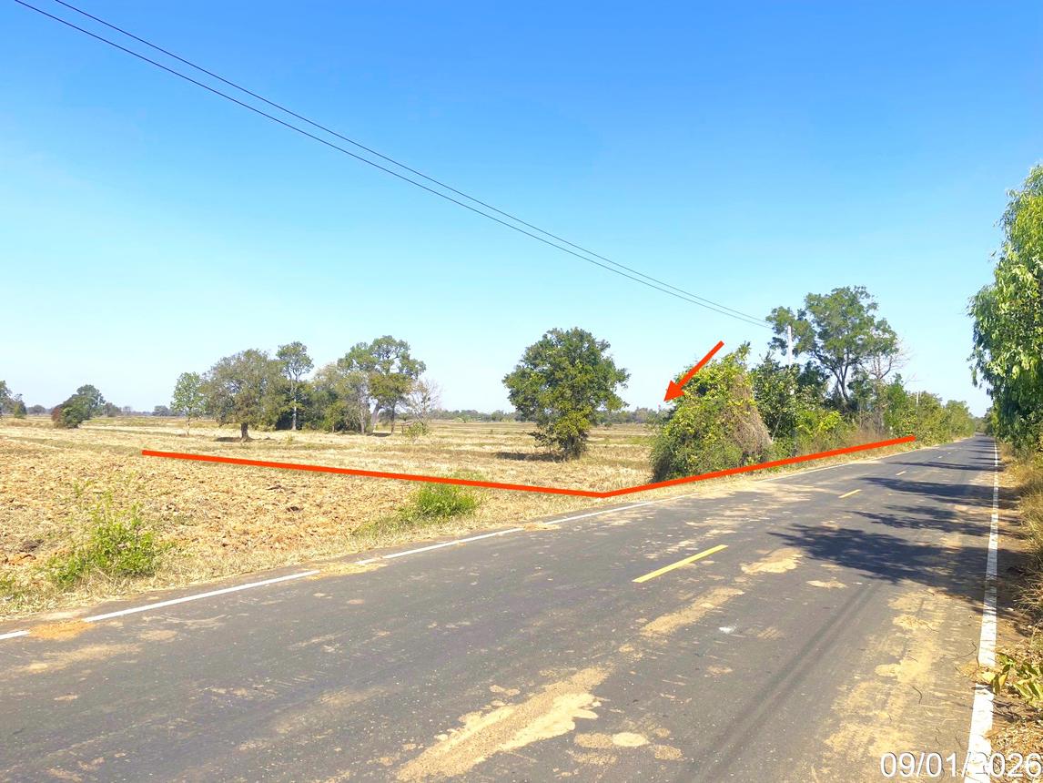 picture LAND 7444 Sq.w. Na Pho Buri Ram for 4.1M - 8/16