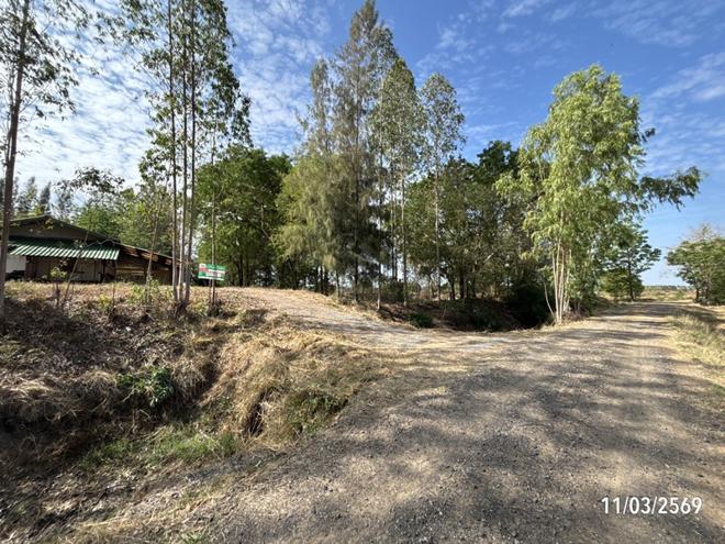 รูป บ้านเดี่ยว 3759 ตร.วา พิมาย นครราชสีมา 1.9M - รูปที่ 2/26