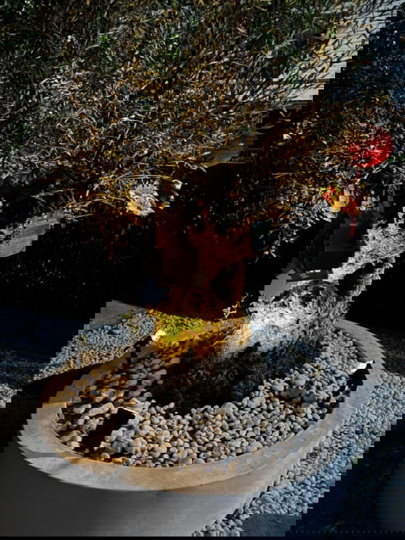 รูป 🏠 ให้เช่าบ้าน : Vivaldi Bangna (วีวัลดี บางนา) รหัสทรัพย์ | 📌LNP-H932 - รูปที่ 3/30