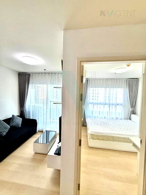 ขายคอนโด : 🚩 ขายคอนโด เดอะ ทรัสต์ งามวงศ์วาน อาคาร 1 ชั้น 8 1 ห้องนอน ขนาด 31 ตรม ใกล้ Tesco Lotus แคราย