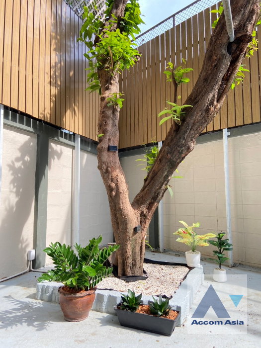 picture 🔼🔽 AccomA 📩 Spacious 4-storey townhouse in Sukhumvit (AA16079) - 13/18