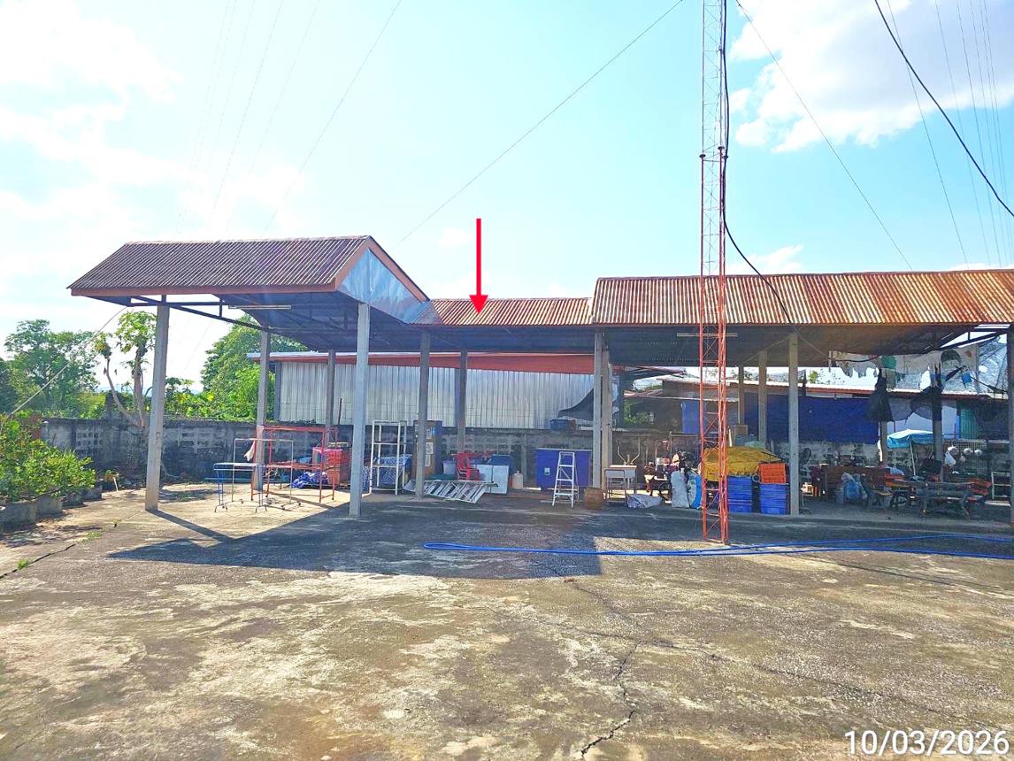 รูป อาคารพาณิชย์ 250 ตร.วา วิเชียรบุรี เพชรบูรณ์ 3.1M - รูปที่ 33/38