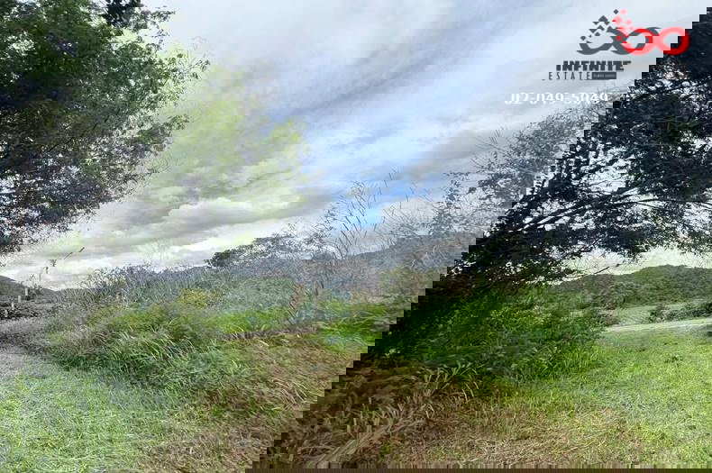 รูป ขายที่ดินเปล่า 6 ไร่ ติดถนนดำ ท่าคล้อ แก่งคอย สระบุรี ซอยถ้ำสิงหราชเดโช - รูปที่ 3/6