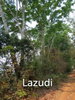 listing thumbnail image 15