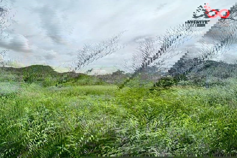 รูป ขายที่ดินเปล่า 6 ไร่ ติดถนนดำ ท่าคล้อ แก่งคอย สระบุรี ซอยถ้ำสิงหราชเดโช - รูปที่ 5/6