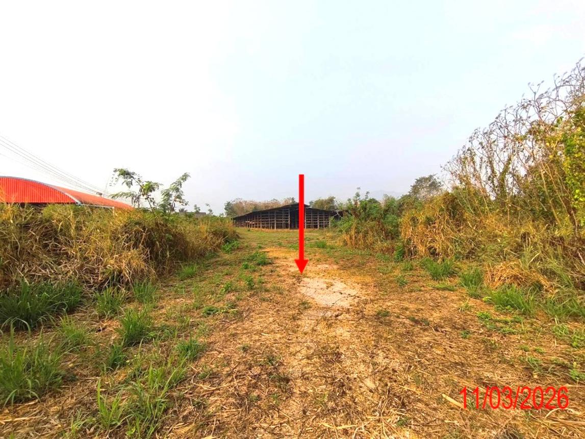 รูป โกดัง 1560.4 ตร.วา บ้านโฮ่ง ลำพูน 5.1M - รูปที่ 15/22