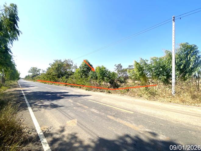 picture LAND 7444 Sq.w. Na Pho Buri Ram for 4.1M - 3/16