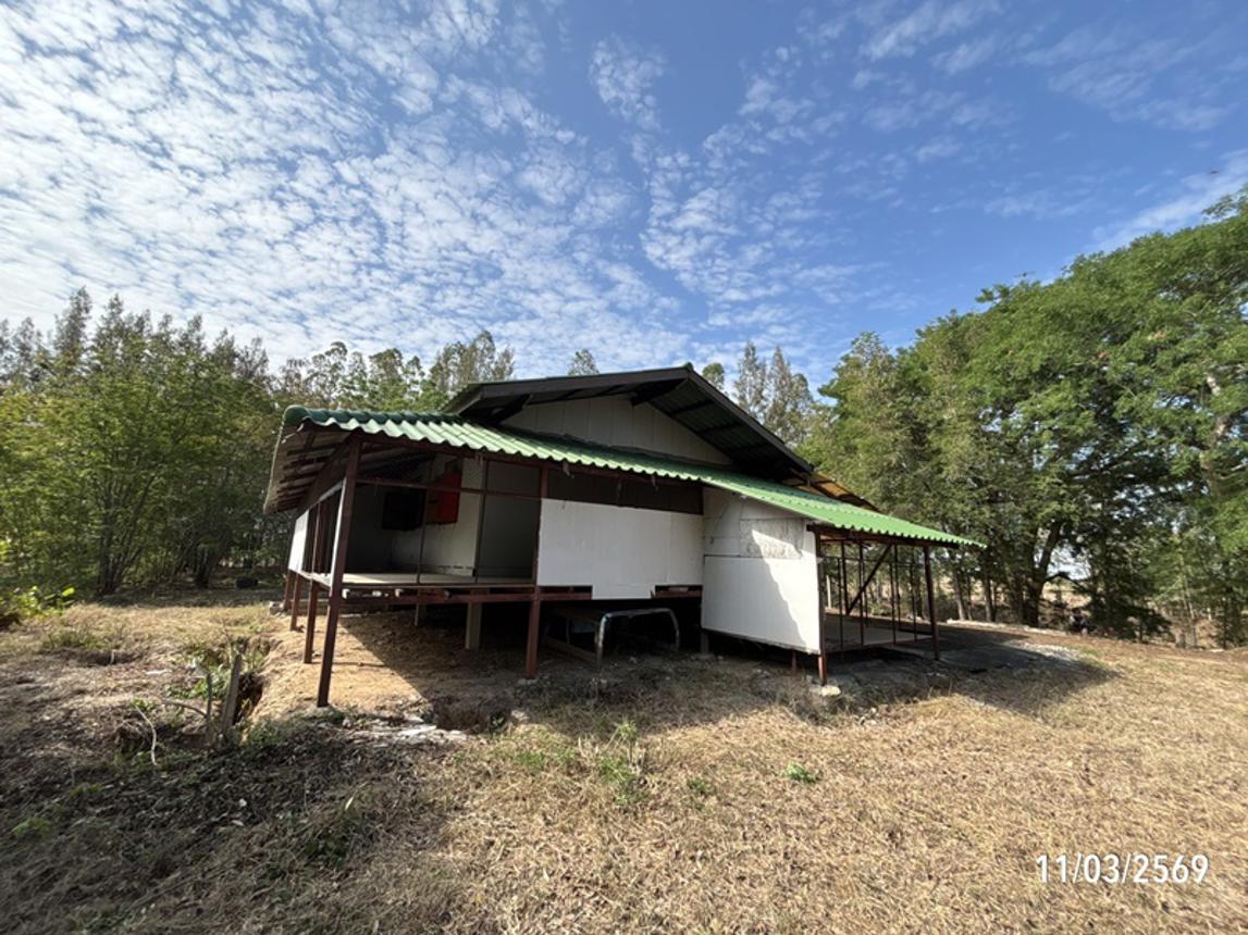 รูป บ้านเดี่ยว 3759 ตร.วา พิมาย นครราชสีมา 1.9M - รูปที่ 15/26