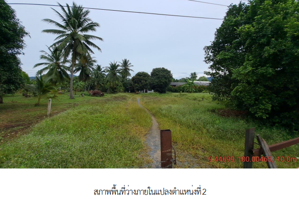 รูป ที่ดินว่างเปล่า 191.4 ตร.วา เกาะสมุย สุราษฎร์ธานี เกาะสมุย สุราษฎร์ธานี 3.7M - รูปที่ 8/12