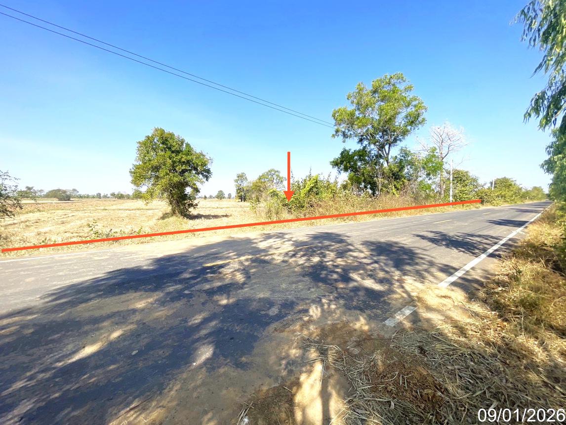 picture LAND 7444 Sq.w. Na Pho Buri Ram for 4.1M - 7/16