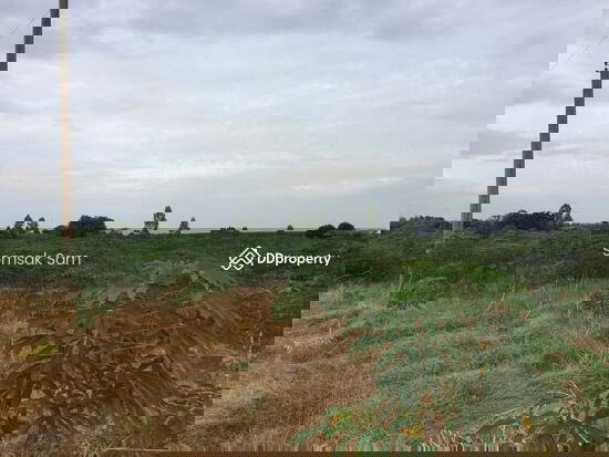 รูป ขายที่ดิน  เนื้อที่  18 ไร่ ใกล้วัดหนองบอน จ.ฉะเชิงเทรา - รูปที่ 2/4