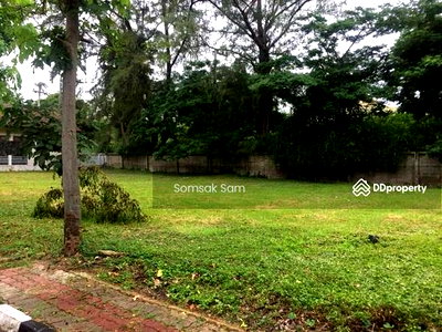 ที่ดิน สถานีขนส่งชุมพร  : ขายที่ดินเปล่า   ถนนเพชรเกษม  ชะอำ  จ.เพชรบุรี  เนื้อที่ 104 ตารางวา 