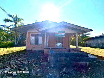 บ้านเดี่ยว เชียงใหม่ : บ้านเดี่ยว 168.6 ตร.วา ฝาง เชียงใหม่ 1.3M