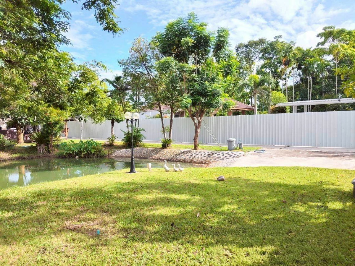 รูป ขายบ้านเดี่ยวพร้อมสวนสวย 362 ตร.วา ทำเลดี ย่านชุมชน ถนนเส้นรอง ใกล้ปั้ม ปตท หนองตะพาน บ้านค่าย ระยอง - รูปที่ 12/12