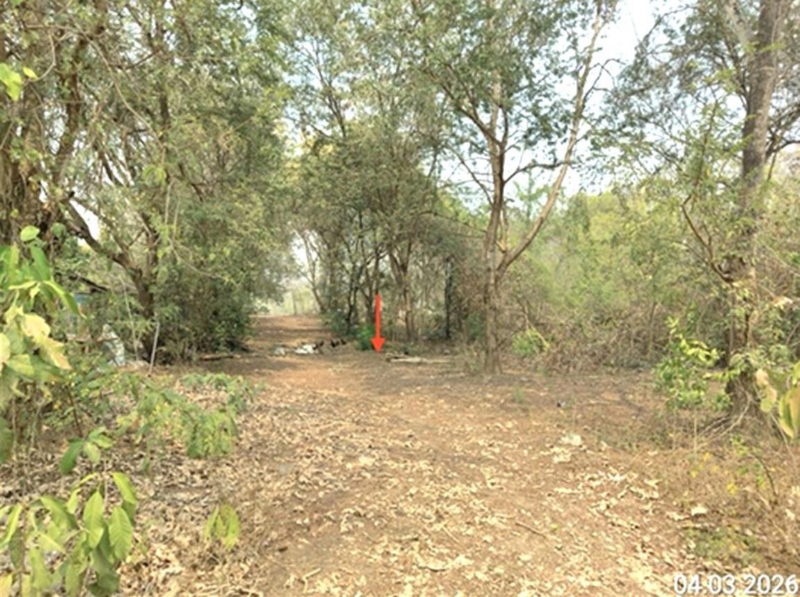 รูป บ้านเดี่ยว 2558 ตร.วา สอง แพร่ 1.9M - รูปที่ 33/38