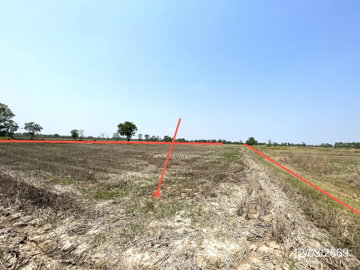 รูป ที่ดินว่างเปล่า 21913 ตร.วา คลองขลุง กำแพงเพชร 6M - รูปที่ 13/20