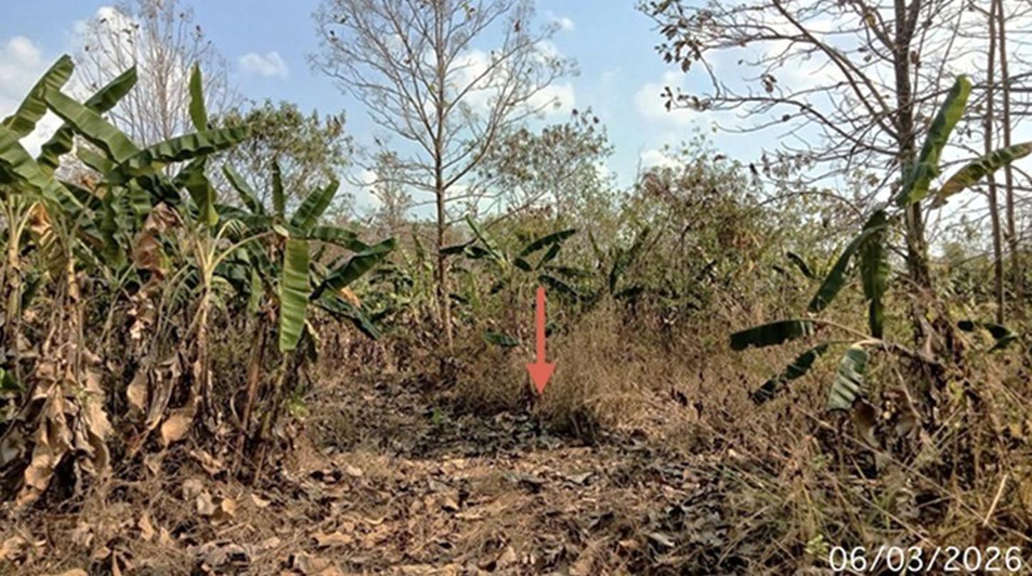 picture LAND 8000 Sq.w. Wang Chin Phrae for 2.1M - 16/22