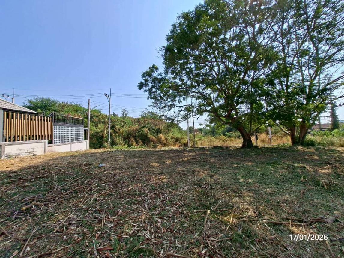 รูป ที่ดินว่างเปล่า 217.6 ตร.วา หัวหิน ไฮแลนด์ ซีวิว หัวหิน ประจวบคีรีขันธ์ 5M - รูปที่ 28/32