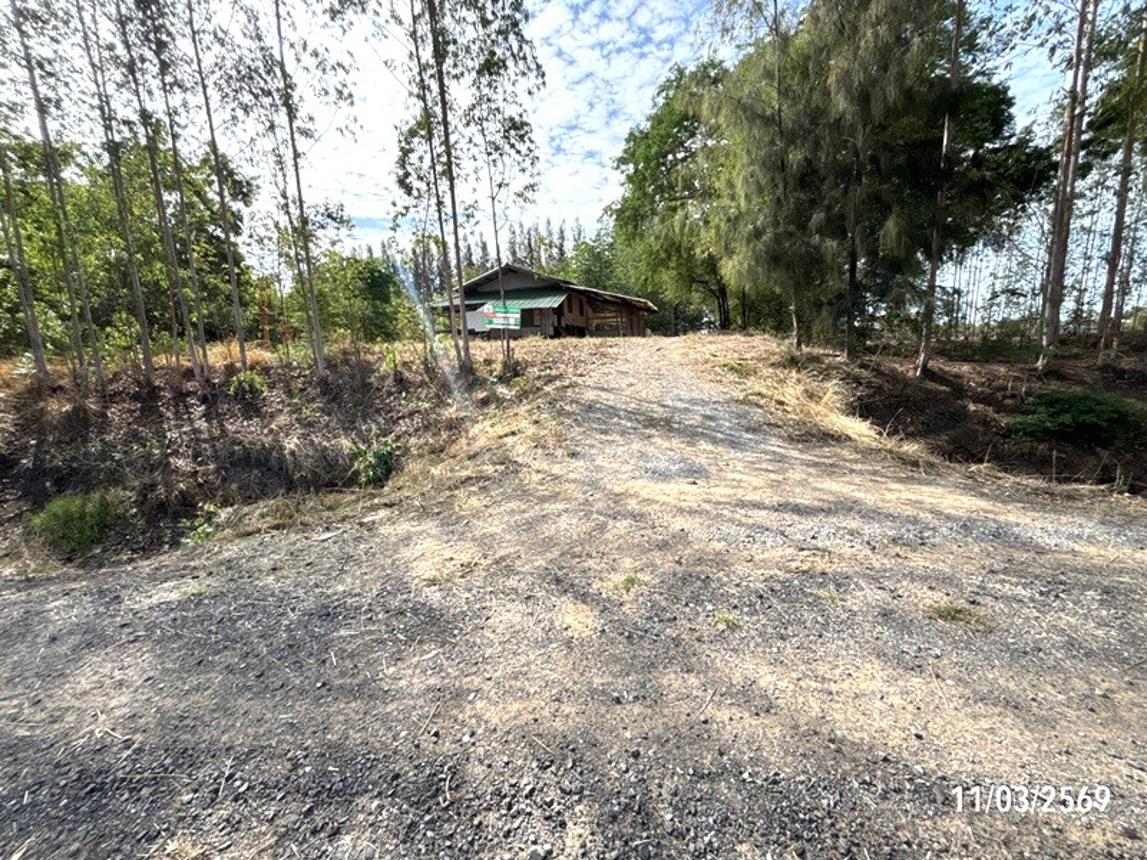 รูป บ้านเดี่ยว 3759 ตร.วา พิมาย นครราชสีมา 1.9M - รูปที่ 12/26