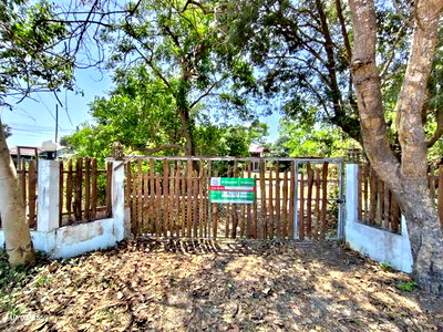 ขายบ้านเดี่ยว : บ้านเดี่ยว 782 ตร.วา วัดสิงห์ ชัยนาท 5.5M