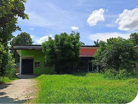 BP00875 ขายบ้านเดี่ยว ตำบล ในเมือง อำเภอ บ้านไผ่ จังหวัด ขอนแก่น