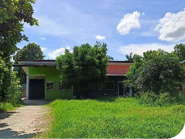 รูป BP00875 ขายบ้านเดี่ยว ตำบล ในเมือง อำเภอ บ้านไผ่ จังหวัด ขอนแก่น - รูปที่ 1/8