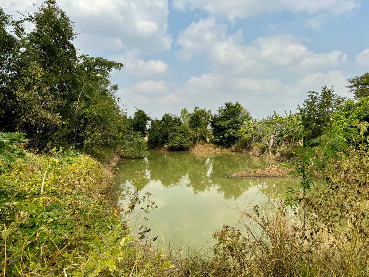 รูป ขายที่ดินโฉนด อำเภอห้วยแถลง จ.นครราชสีมา - รูปที่ 5/7