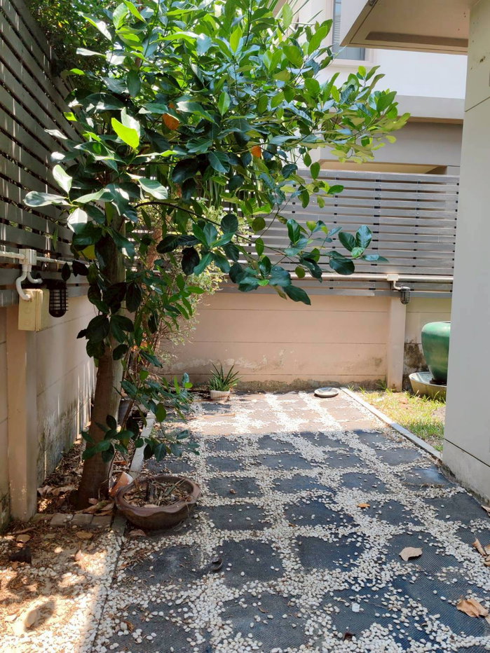 รูป 291AGKI ขายขาดทุน ถูกที่สุด!! บ้านเดี่ยว บางกอก บูเลอวาร์ด แจ้งวัฒนะ 2 ฺ - รูปที่ 2/5