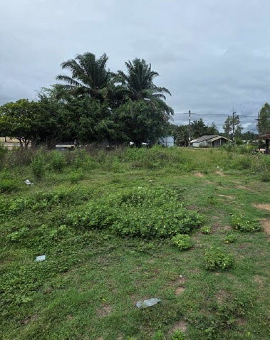 picture LAND 438 Sq.w. Nua Khlong Krabi for 1.7M - 7/9