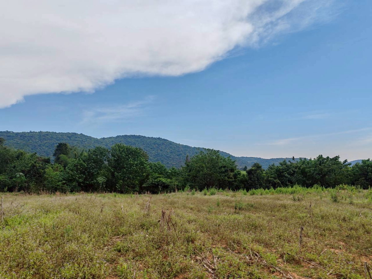 picture Land for sale in Lopburi Province, Lam Sonthi District. - 4/11
