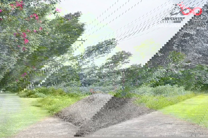 รูป ขายที่ดิน 50 ตร.ว.พรประภานิมิตร 33 พัทยา-บางละมุง ชลบุรี ถมแล้ว - รูปที่ 7/10