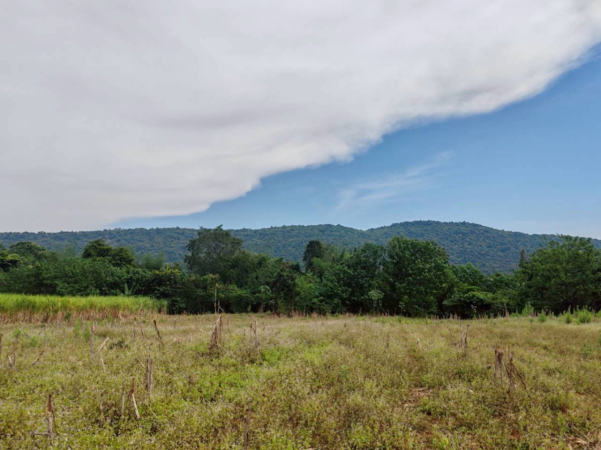 picture Land for sale in Lopburi Province, Lam Sonthi District. - 7/11