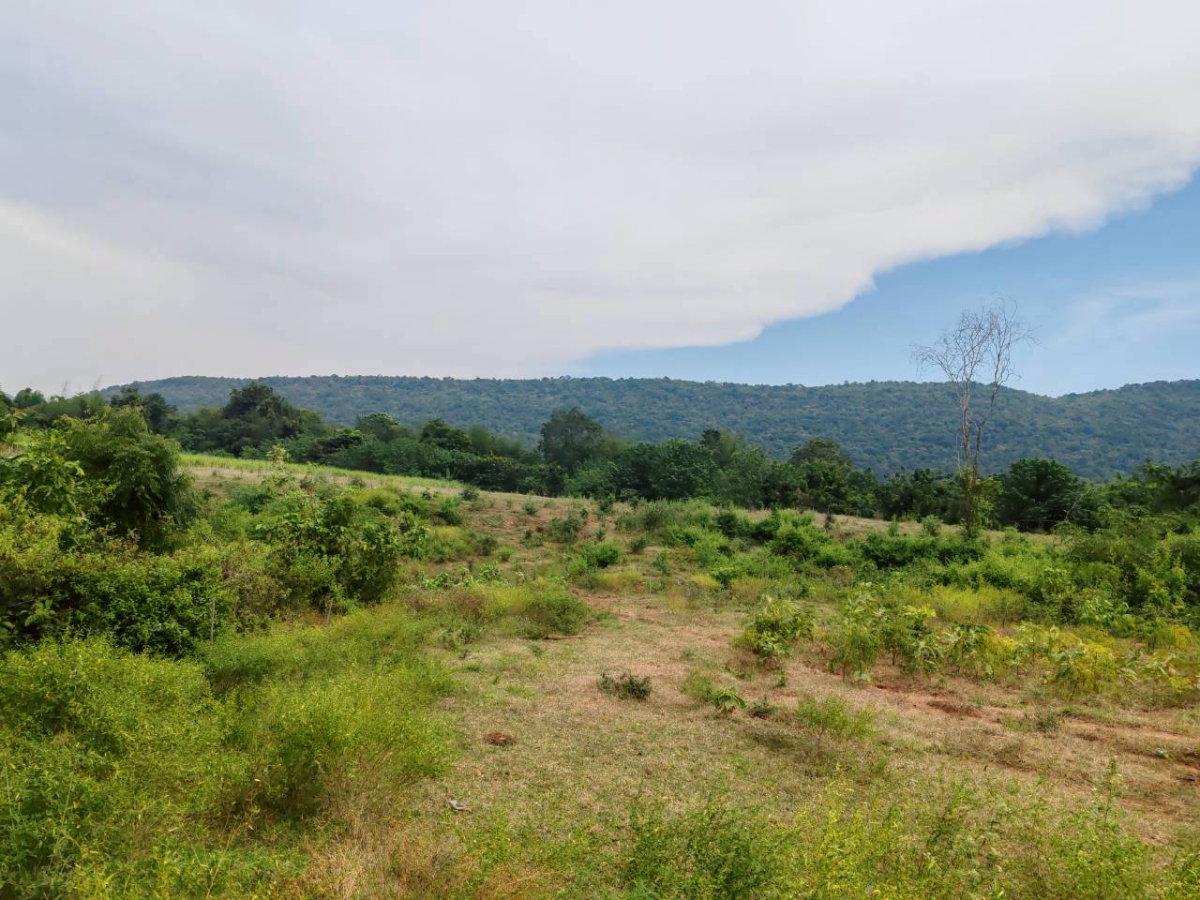 picture Land for sale in Lopburi Province, Lam Sonthi District. - 6/11