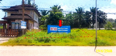 ขายที่ดิน : ที่ดินเปล่า 58.7 ตร.วา อำเภอเขาพนม กระบี่ 924,000