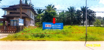 LAND 58.7 Sq.w. Khao Phanom Krabi for 924,000
