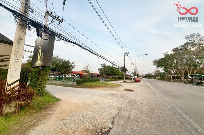 รูป ขายที่ดิน 50 ตร.ว.พรประภานิมิตร 33 พัทยา-บางละมุง ชลบุรี ถมแล้ว - รูปที่ 10/10