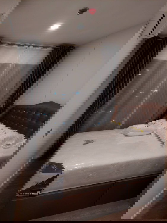 picture 💥CP-10567💥MODIZ Sukhumvit 50👉Line : @rangrak - 3/11